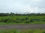 20380P1020237.JPG