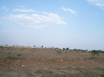 1771022042008(88).JPG