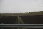 2017-05-12_17-38-14_2017-05-05 19.05.48.jpg