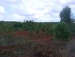 18160Centralthailand-2 (21).JPG