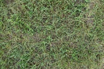 2017-09-06_16-22-49_DD.jpg