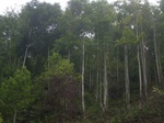 2012-09-08_18-23-40_RIMG0006.JPG