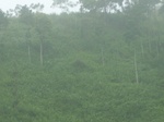 2012-09-08_19-26-24_RIMG0024.JPG