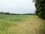 2012-09-15_23-43-51_TN-LC-15-3.JPG