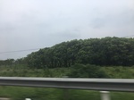2017-09-12_03-31-47_3AACEFD5-38F4-4024-90A7-5898C32B25D3.jpg