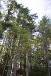 202IMG_4098.JPG