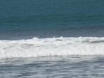 13993IMG_4308.JPG