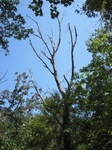 2012-10-11_22-34-58_TX-SM-11-4.jpg