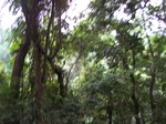548611052008(63).JPG