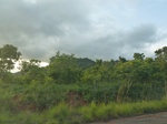 18350P1000186.JPG