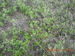 2012-09-27_14-25-47_255.JPG