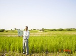 6473gt017-cropland-1.jpg