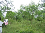 837371-plantation-young-multipurpose-b.jpg