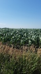2017-07-06_08-16-48_IMG_20170705_170352.jpg