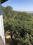 2018-09-05_14-03-21_3871C1ED-A3D9-4B17-B074-1D6EAC623095.jpg