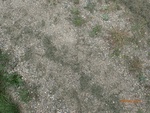 2017-09-04_13-03-10_P9042334.JPG