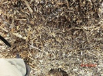 2012-10-02_21-26-39_CIMG0141.JPG