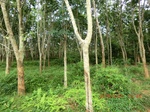 2012-09-26_20-48-08_CIMG1029.JPG