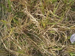3301R0017335.JPG