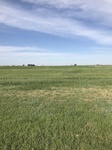 2018-05-26_18-37-07_AD04839B-C9AE-4AD7-A654-86AE57A5F52C.jpg