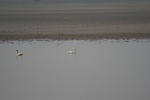 4143IMG_8780.JPG