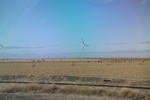 2017-05-07_17-12-45_2017-03-11 13.18.23.jpg