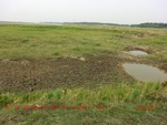 39110CIMG4823.gps.jpg
