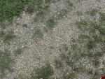 2018-09-04_14-36-11_P9037081.JPG