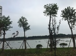 2017-09-10_20-49-08_F642D1C4-ACC9-46A1-9386-3790CF111583.jpg