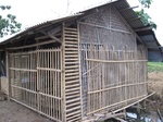 15730IMG_4813.JPG