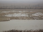 8506IMG_0331.JPG