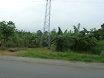 20381P1020238.JPG