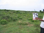 838475-scrubland-1yr-1m-a.jpg