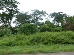 19851P1010701.JPG