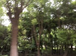 2017-09-10_06-59-44_F912F89E-11D0-4F8B-A299-95495D49CD77.jpg