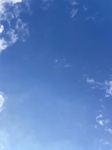2020-11-06_16-18-25_8FA6E4F9-F9C5-4A03-AD5E-352430CEB3EC.jpeg