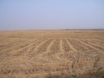 4649RIMG0073-2.JPG