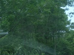 2012-09-08_20-00-39_RIMG0092.JPG
