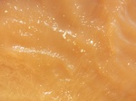 2012-09-21_14-27-01_CIMG0073.JPG