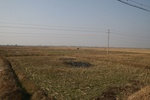 4492IMG_8431.jpg