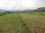 2012-09-07_10-14-09_CIMG6671.JPG