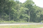 2022-06-12_15-25-25_9B58C494-6460-4877-8202-6BC3B6F4A7E5.jpeg