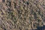 2017-02-24_11-46-00_Feb17-052-PA.jpg