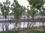 1212R0015055_tag.jpg