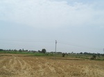 483702052008(33).JPG