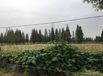 2017-09-10_20-48-44_D1798A51-426E-4E40-A7E3-294B5BCB2CC6.jpg