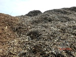 2012-10-02_21-26-34_CIMG0144.JPG