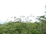 16318IMG_5093.JPG