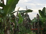 2012-09-26_20-49-58_CIMG1103.JPG