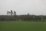 2018-04-14_14-18-44_2017-06-12 06.31.06.jpg